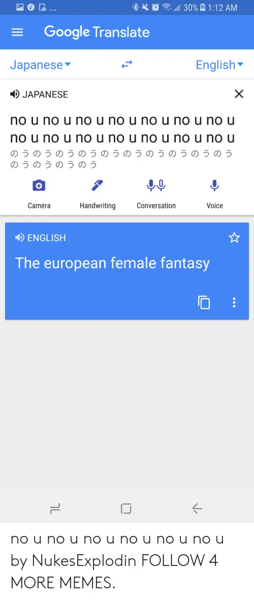 10 palabras graciosas en el Traductor de Google