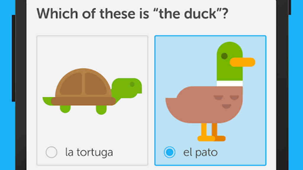 Memrise