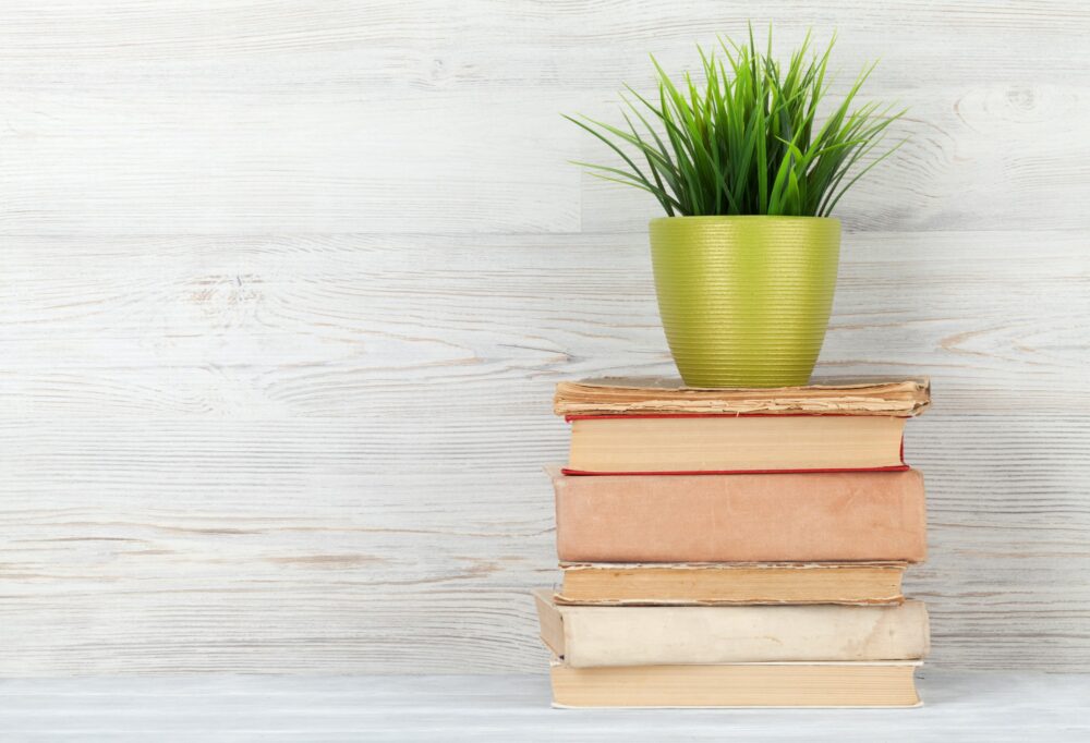 Lee más sobre el artículo Los diez mejores libros para aprender francés
