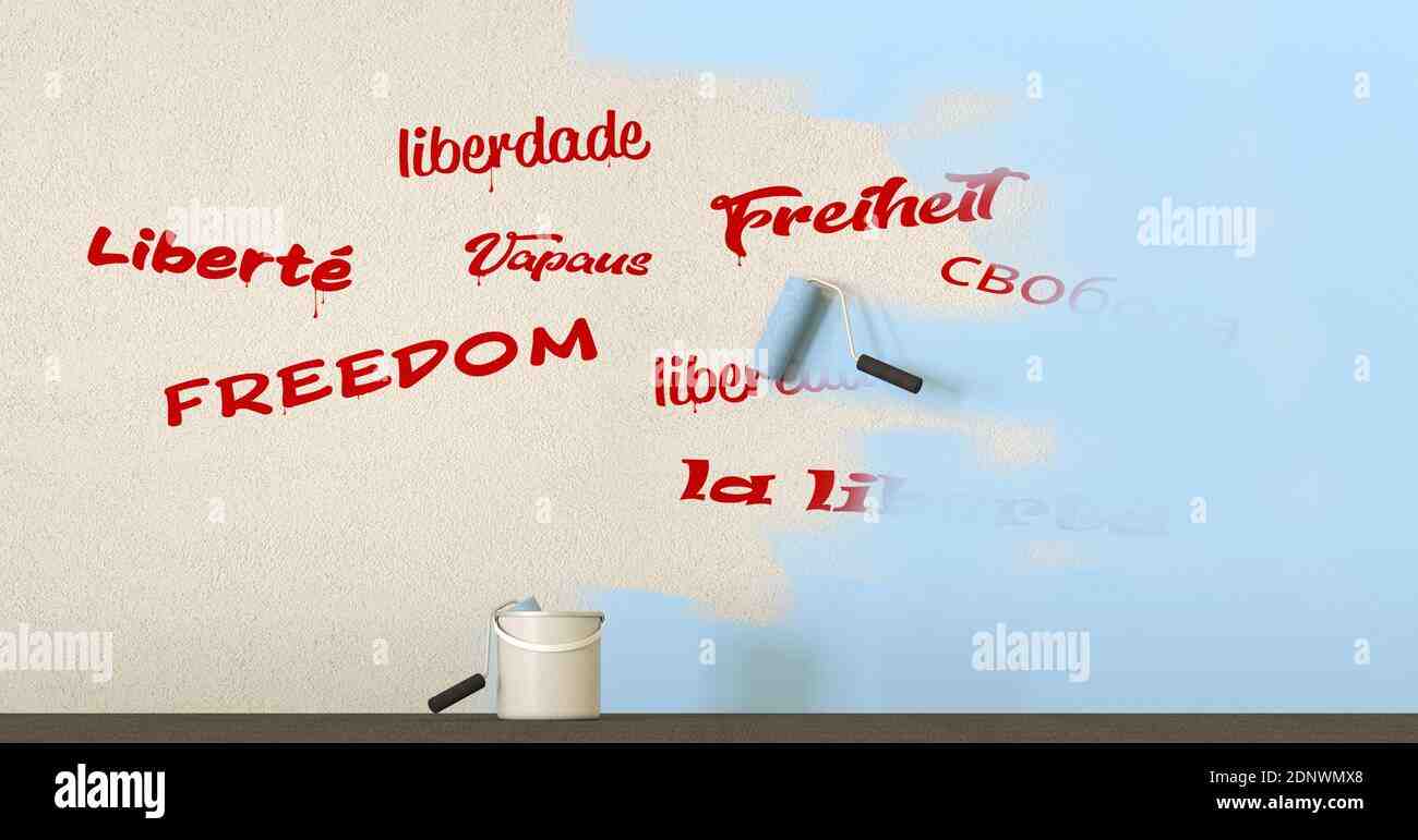 Lee más sobre el artículo libertad de expresión